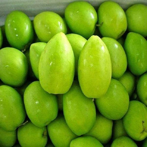 Thai Apple-Ber - थाई एप्पल-बेर